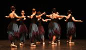Gala de danse classique 14 ans à jeunes adultes 2026